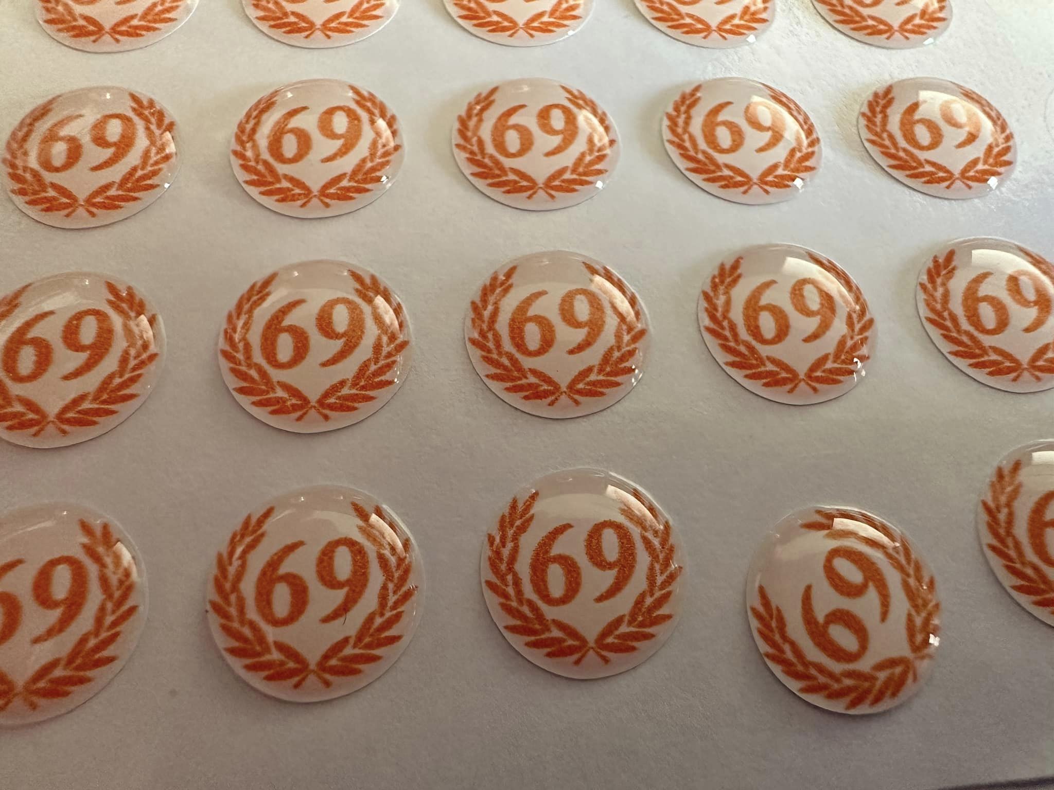69 Laurel Orange And White Background 69 Logo Hankie Pin 10mm